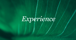 north london psychotherapist