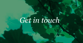 Kentish Town psychotherapist